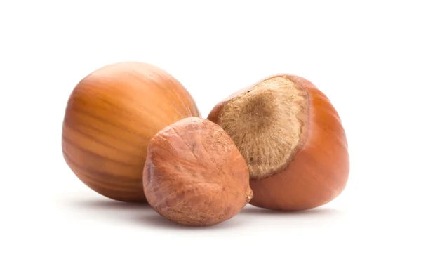 Hazelnut on white background — Stock Photo, Image