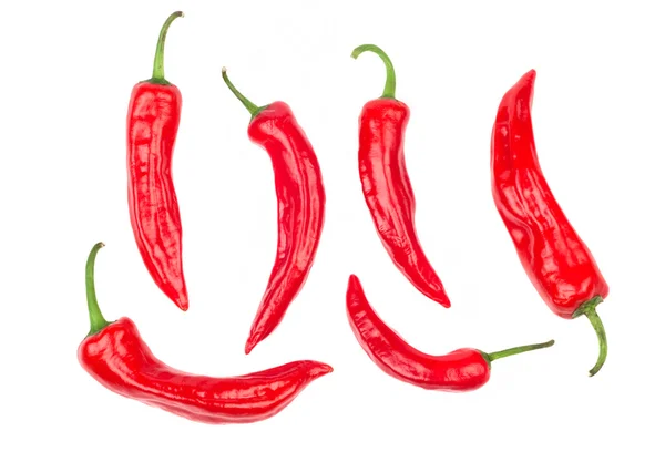 Piment rouge chili — Photo