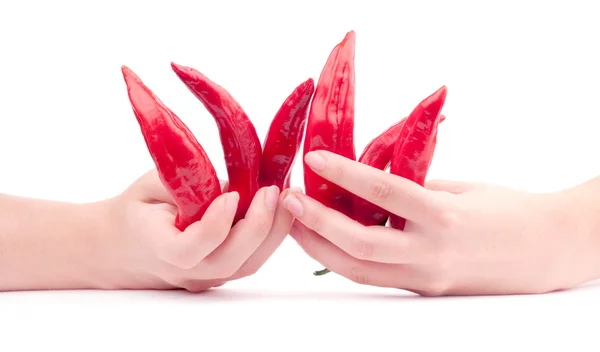 Peperoncino peperoncino rosso nelle mani — Foto Stock