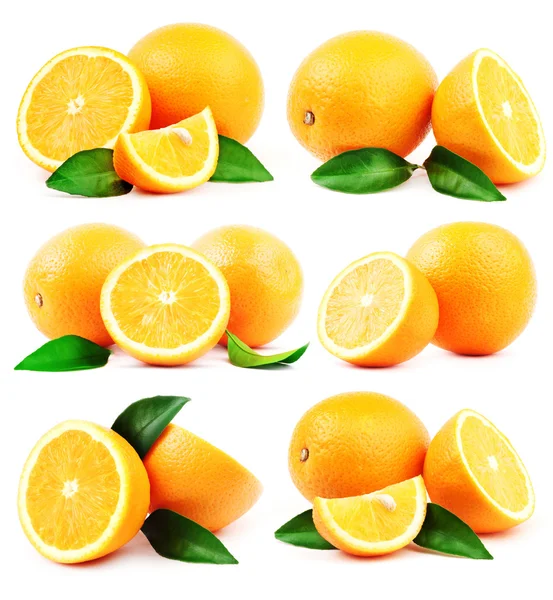 Many Oranges on white background — Stock Photo, Image