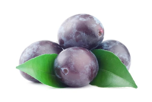 Plum — Stock Photo, Image