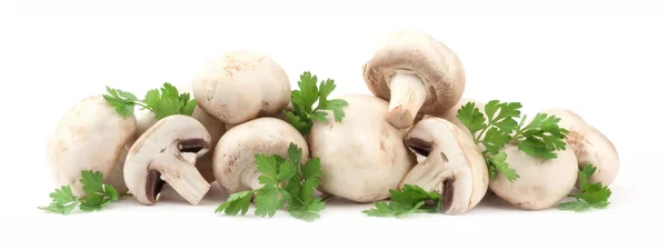 Mushroom — Stock Photo, Image