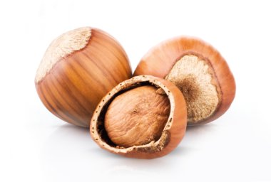 Beyaz arkaplanda fındık