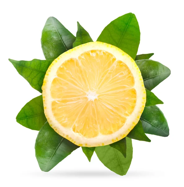 Lemon with green leaves — Stock Photo, Image