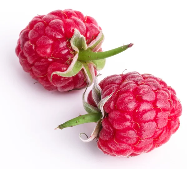 Ripe raspberry — Stock Photo, Image