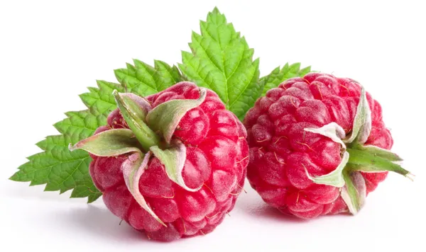 Ripe raspberry — Stock Photo, Image