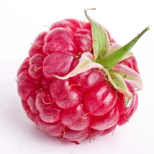 Ripe raspberry — Stock Photo, Image