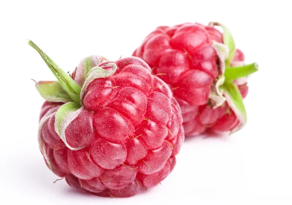 Ripe raspberry — Stock Photo, Image