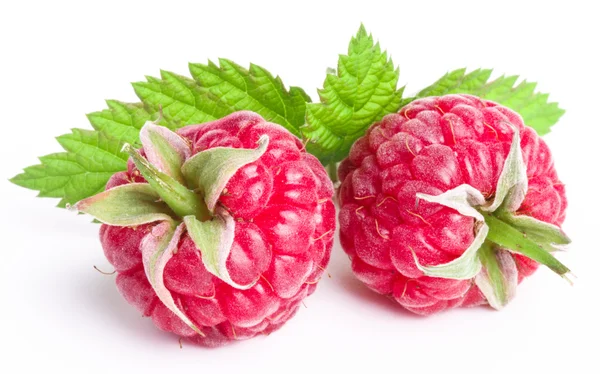 Ripe raspberry — Stock Photo, Image