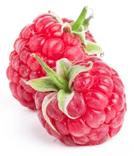 Ripe raspberry — Stock Photo, Image