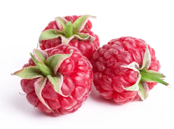 Ripe raspberry — Stock Photo, Image