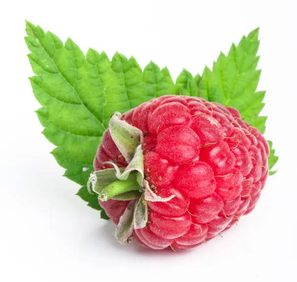 Ripe raspberry — Stock Photo, Image