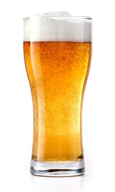 bardak taze bira