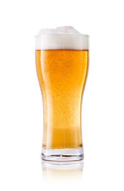 bardak taze bira