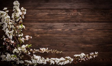 boşaltmak ahşap doku zemin üzerine yaz çiçek