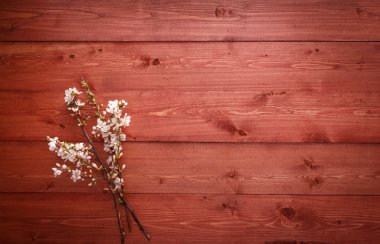 boşaltmak ahşap doku zemin üzerine yaz çiçek
