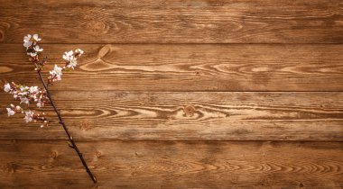 boşaltmak ahşap doku zemin üzerine yaz çiçek