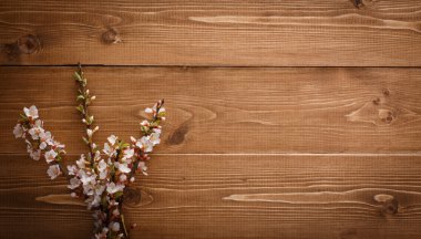 boşaltmak ahşap doku zemin üzerine yaz çiçek