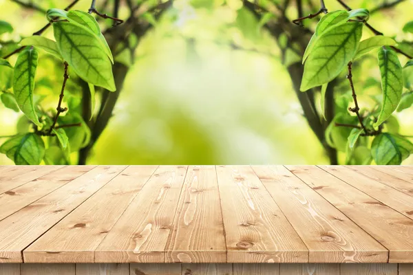 Empty wooden table in a sun drenched summer garden for product placement — Stock Photo, Image