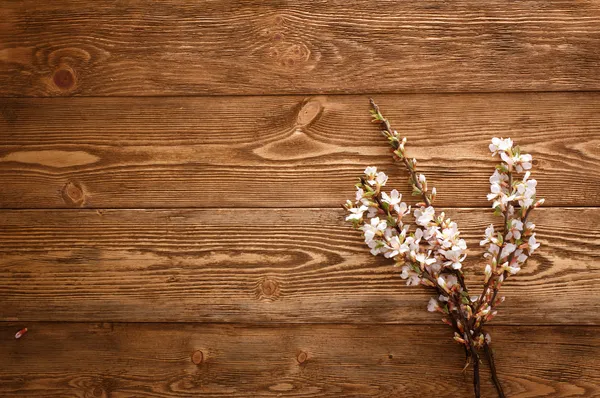 Flores de verano sobre fondo de textura de madera con copyspace — Foto de Stock