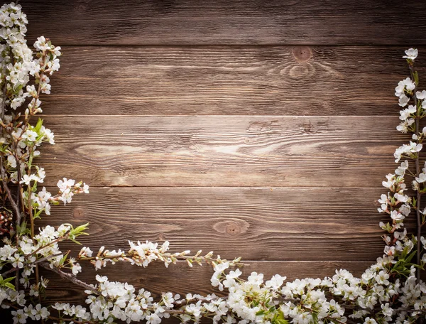 Цветы на фоне текстуры дерева с копипространством — стоковое фото