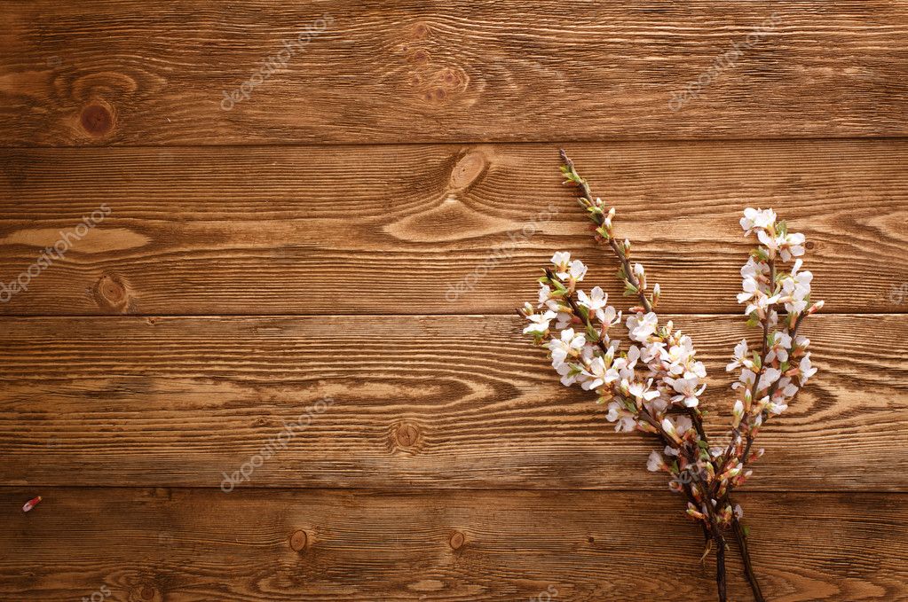 Summer Flowers on wood texture background with copyspace — Stock Photo