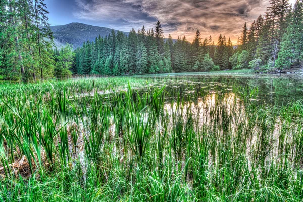 Jeziora polodowcowe w Niskie Tatry, Słowacja — Zdjęcie stockowe