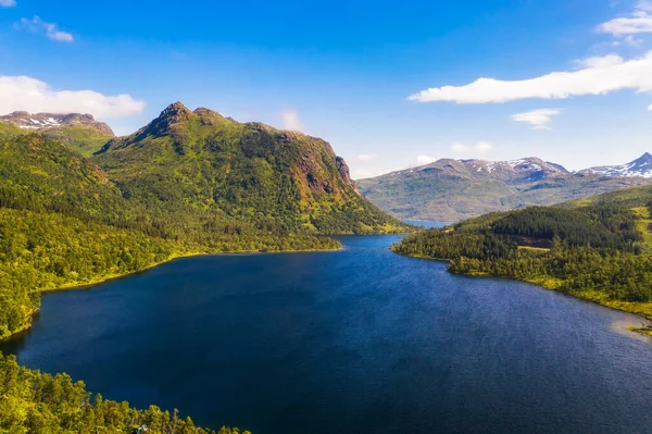 Uitzicht vanuit de lucht op bossen en een meer in de Lofoten, Noorwegen — Stockfoto