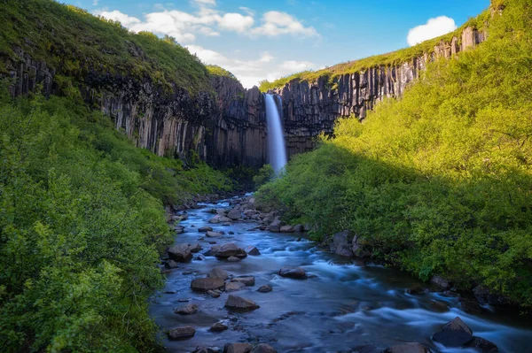 Vatnajokull Ulusal Parkı, İzlanda 'da Svartifoss şelalesi