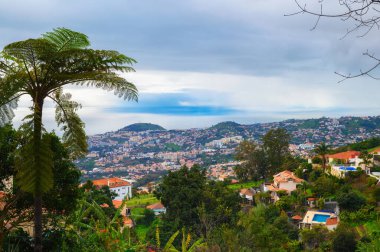 Portekiz, Madeira 'daki Monte Palace Gardens' tan Funchal şehrine bakın.