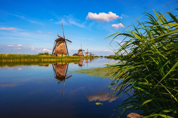 Moinhos de vento históricos e um rio fluindo em Kinderdijk, Países Baixos — Fotografia de Stock