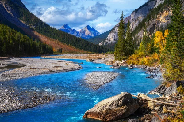 River flowing along the Icefields Pkwy in Banff National Park, Canada — Stock Photo, Image