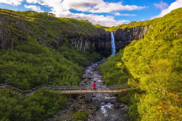 Hiker osserva la cascata dello Svartifoss nel Parco Nazionale Vatnajokull, Islanda — Foto Stock