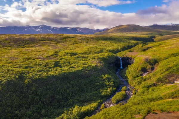 Vatnajokull Ulusal Parkı, İzlanda 'daki Svartifoss şelalesinin hava manzarası
