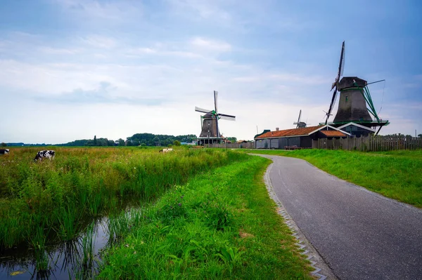 Farm houses and windmills of Zaanse Schans — Stock Photo, Image