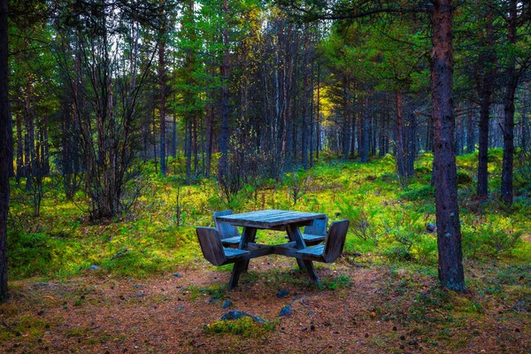 Wooden Picnic Table Forest Norway — Foto Stock