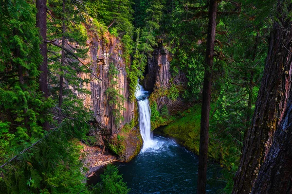 Toketee Falls North Umpqua River Located Douglas County Oregon — Stockfoto