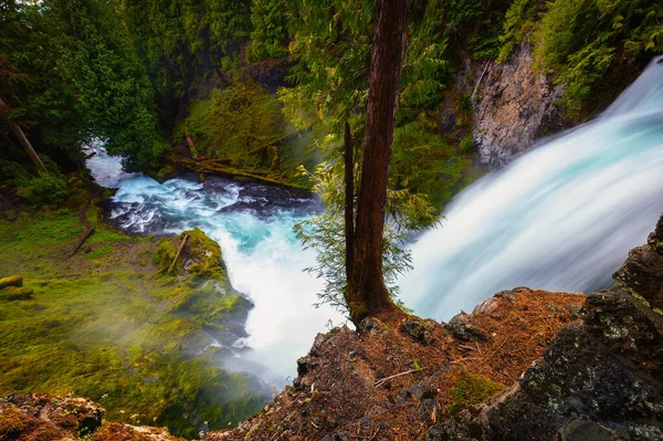 Sahalie Falls on McKenzie River located in the Willamette National Forest, Oregon, with very lush and green surroundings. Long exposure.