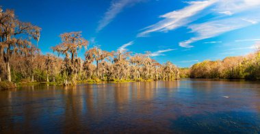 Edward topu Wakulla Springs state park. Bu florida state park Tallahassee, Florida güneyinde yer alır.