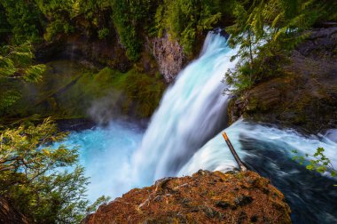Sahalie Falls on McKenzie River located in the Willamette National Forest, Oregon, with very lush and green surroundings. Long exposure.