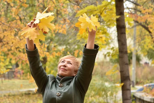 An elderly woman in an autumn park collects a bouquet of yellow maple leaves. Good mood while walking in the fresh air, healthy lifestyle in retirement
