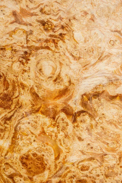 Renkli ahşap bir bloğun makro fotoğrafı dekoratif ahşap Acer, akçaağaç deseni, doğal ahşap desen, doğal ahşap desen, doğal ahşap arka plan..