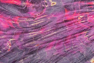 Renkli ahşap bir bloğun makro fotoğrafçılığı dekoratif ahşap Acer dokusu, akçaağaçlar, doğal ahşap desenler.