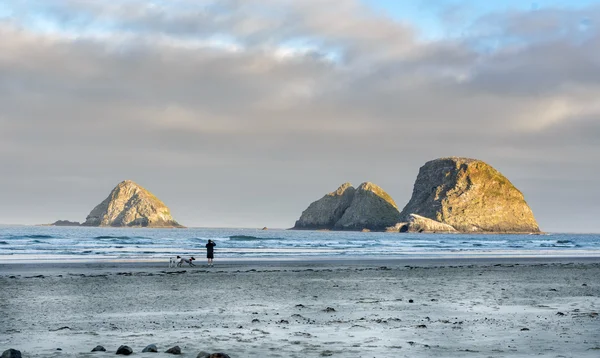 Spaziergänge mit Hunden im Morgengrauen am Strand von Oregano — Stockfoto