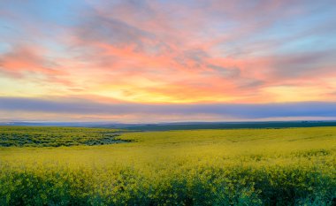 camas prairie üzerinde gündoğumu