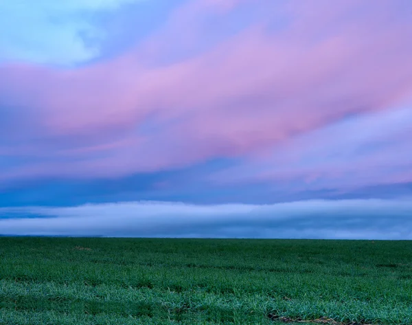 Colorful Clouds at Sunrise over Grass Field — Stock Photo, Image