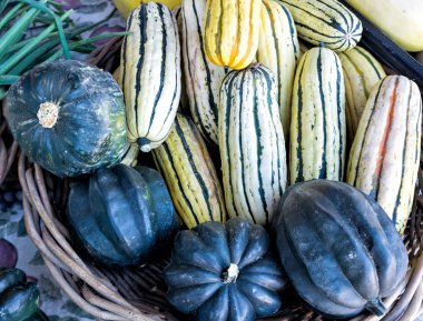 Çiftçi pazarda, renkli Squash