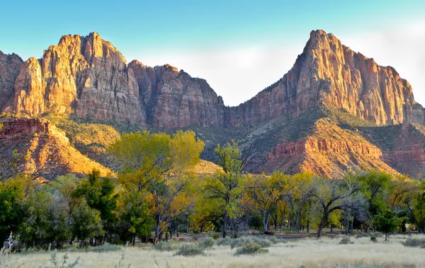 Colores de otoño en Zion — Foto de Stock