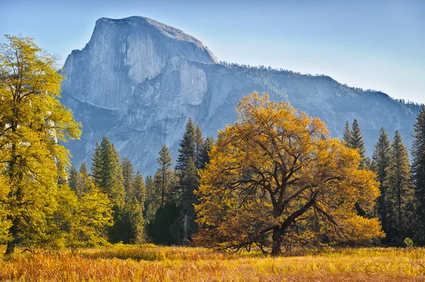 Autumn Colors and Half Dome