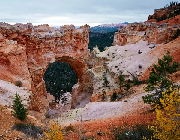 Bryce canyon αψίδα — Φωτογραφία Αρχείου